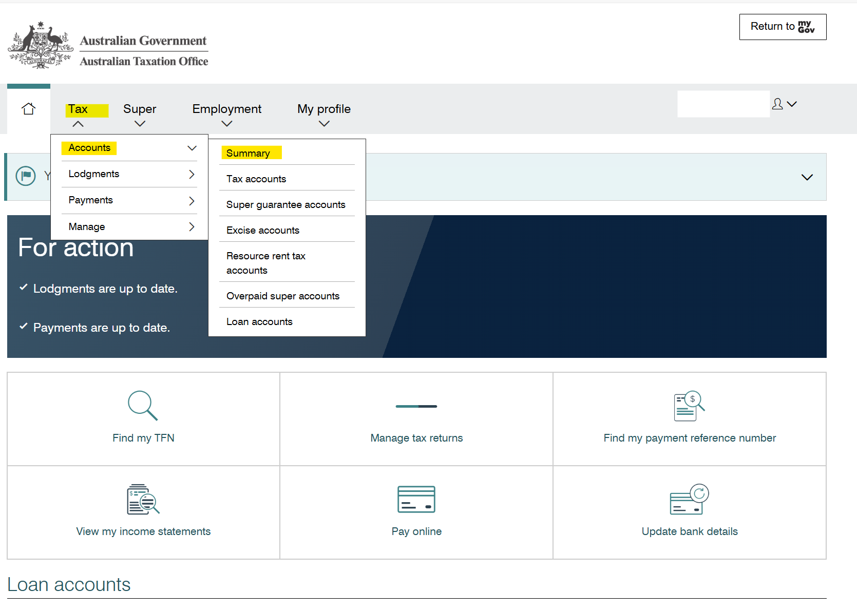 Income tax statement